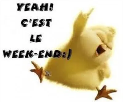 Ce week-end, tu as le choix pour faire des activités. Lesquels choisis-tu ?