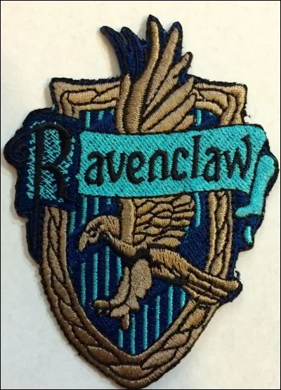 Quel professeur est directeur de la maison Serdaigle ?