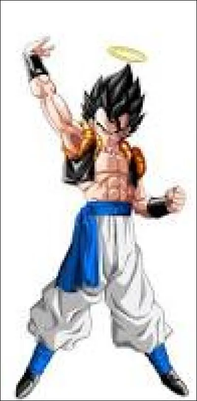 Quelles sont les transformations que Gogeta utilise dans Dragon Ball ?