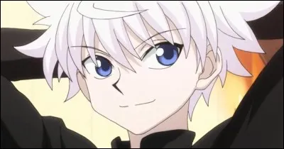 Où la famille Zoldik vit-elle ?