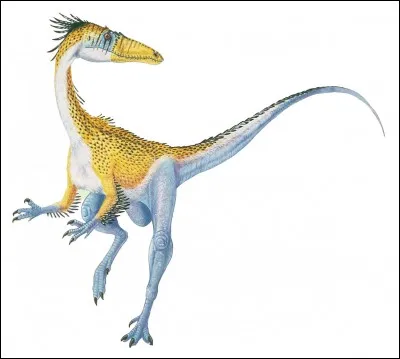 Megapnosaurus fait partie des...