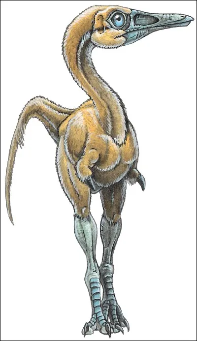 Shuvuuia fait partie des...