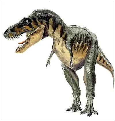 À quelle famille appartient le Tarbosaurus ?