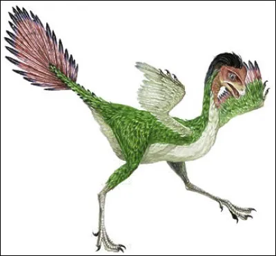 À quelle famille appartient Caudipteryx ?