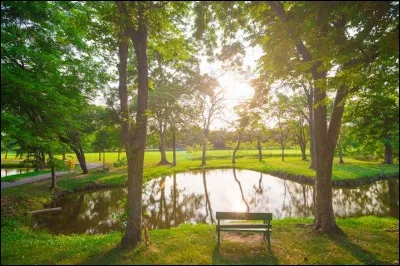 Je suis un oiseau qui annonce le printemps :