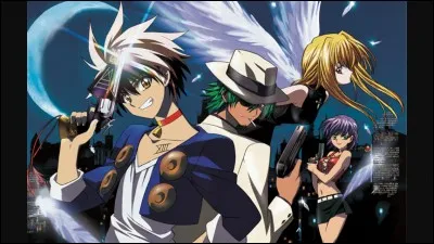 Quel est le nom de cet anime ?