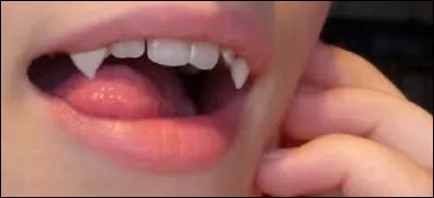 Quelles dents sont celles qui tombent le plus tard quand on vieillit ?