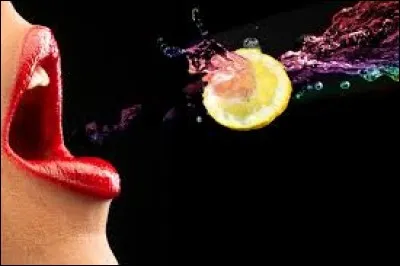 Laquelle de ces faces est effleurée par la langue ?