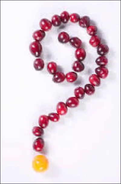 Qu'est-ce qu'un mangoustan ?