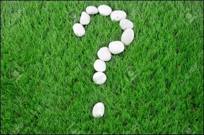 Qu'est-ce que la leishmaniose ?