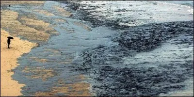 Le 13 novembre 2002, le pétrolier "le Prestige" provoque une gigantesque marée noire qui va toucher les côtes espagnoles, portugaises et françaises.