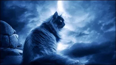 K - Un "kénophobe" a peur des étrangers.