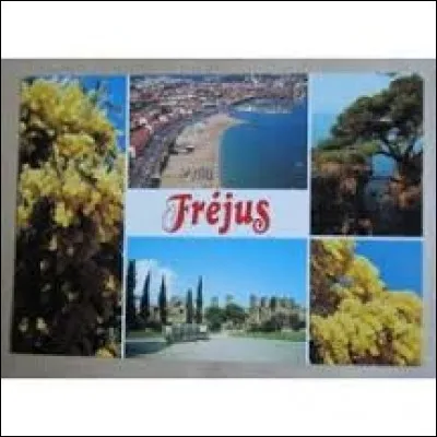 Je vous envoie une carte postale de Fréjus. Station balnéaire azuréenne, elle se trouve dans le département ...
