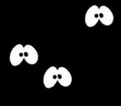 La peur du noir est l'...