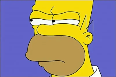 Quel est le nom complet d'Homer ?