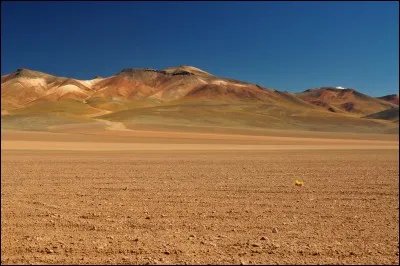 Combien de ballons Enid a-t-elle accrochés sur la tombe de Glenn ?