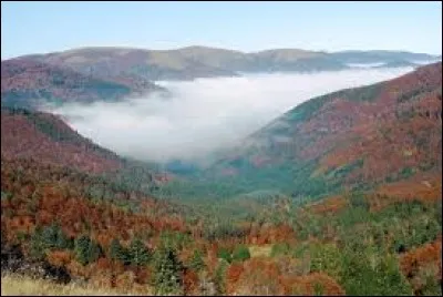 O&ugrave; trouverez-vous le ballon qui n'est pas un verre, ne se pousse pas du pied ou encore ne se lance pas dans un panier ?