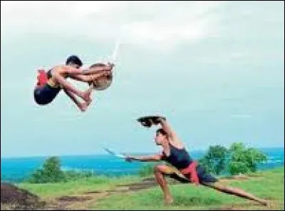 D'où le kalarippayatt vient-il ?