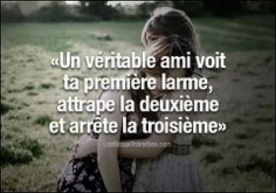 Quelle est la figure de style cachée derrière cette citation ?