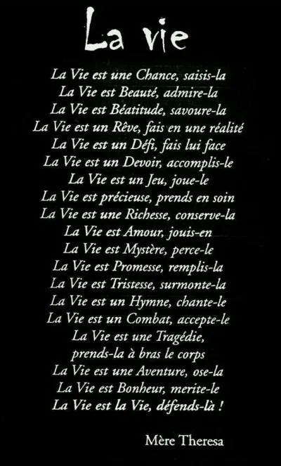 À quelle figure de style correspond cette citation ?