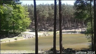 Quel animal repose dans la chambrette et non dans la chambre, car chacun chez soi, bien sûr !?