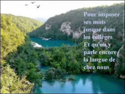 A quel chanteur doit-on le titre "La langue de chez nous", en 1985 ?