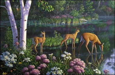 De qui la biche est-elle la femelle ?