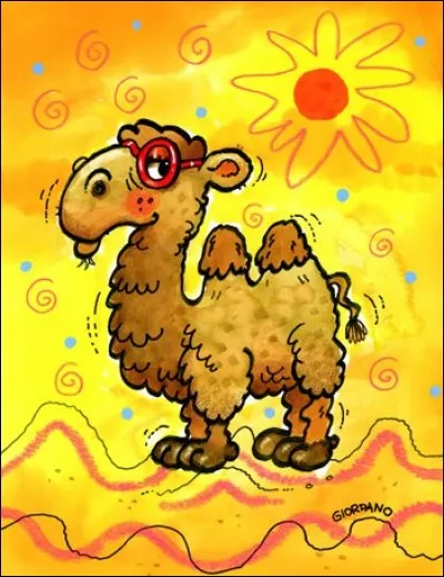 D'où est originaire le chameau de Bactriane ?