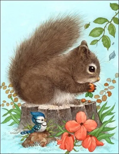 L'écureuil stocke-t-il sa nourriture ?