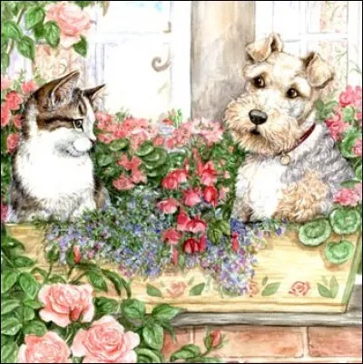 Au XIXe siècle, à quoi était utilisé le fox-terrier ?