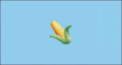 🌽Il fut l'aliment de base des Amérindiens.