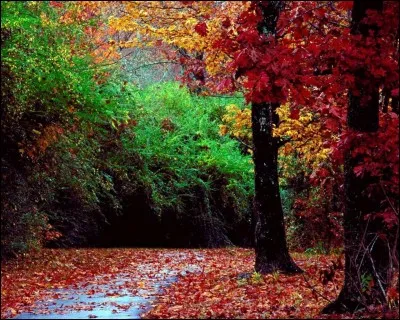 Le plus gros est le plus court.