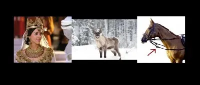 Devine ce mot grâce aux images. (Remets les lettres dans l'ordre.)