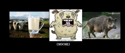 Devine ce mot grâce aux images.