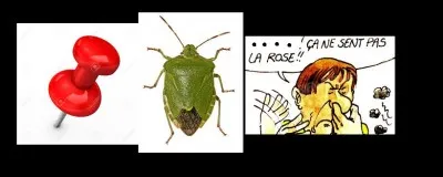 Devine ce mot grâce aux images.