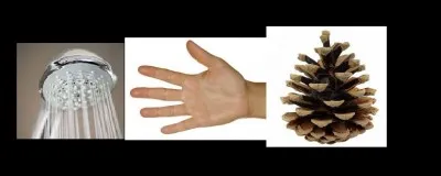 Devine ce mot grâce aux images. (Remets les lettres dans l'ordre.)