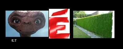 Devine ce mot grâce aux images.