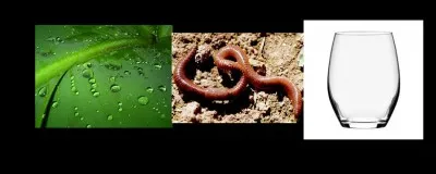 Devine ce mot grâce aux images.