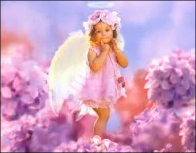 Jeu de cartes d'origine allemande qui se pratique avec un jeu de trente-deux cartes :