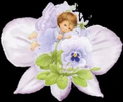 Folie meurtrière chez les Malais :