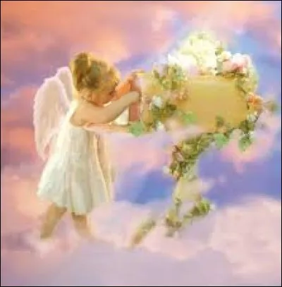 Danse exécutée par certaines équipes de rugby à l'ouverture d'un match :