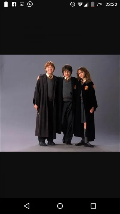 Quel incident lie d'amitié le Golden Trio ?