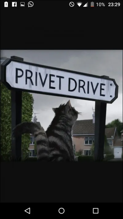 Quel est le numéro de la maison dans laquelle Harry doit supporter son horrible cousin Dudlinouchet ? (1)