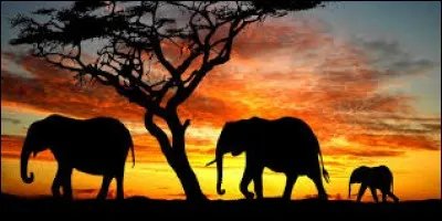 Où Toutânkhamon a-t-il vécu ?