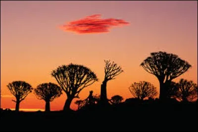 Quelle ligne imaginaire coupe l'Afrique en deux ?