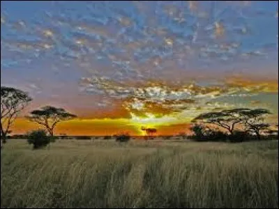 Laquelle de ces villes se trouve au Malawi ?