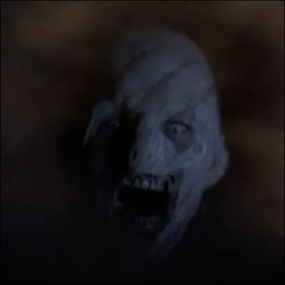 Qu'est-ce qu'un Darach ?