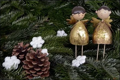 Quel arbre décore-t-on généralement pour célébrer Noël ?