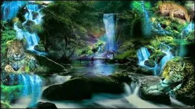 Que n'oublie pas l'eau chaude ?