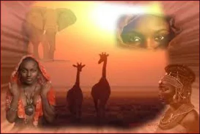 Que font les excréments au fond de l'eau ?